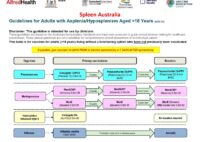 2025.11 - Spleen Australia Adult Asplenia Medical Recommendations_web 2025.11 - Spleen Australia Adult Asplenia Medical Recommendations_web